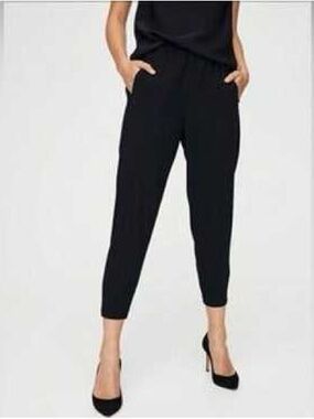 Aritzia | Babaton Dexter Pants | Small